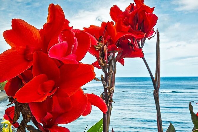 Full Day - Hiking Trail Ribeira Funda-Maia - Exploring the Parish of Maia and Picnic Lunch