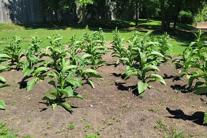 Full Day Historic Guided Tour to Jamestown and Yorktown with Lunch - Colonial Lunch at a Local Family Restaurant