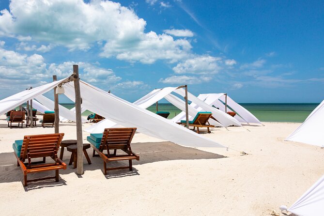 Full-Day Holbox Island Boat and Buggy Tour with Lunch - Starting Point and Transportation Logistics in Playa del Carmen