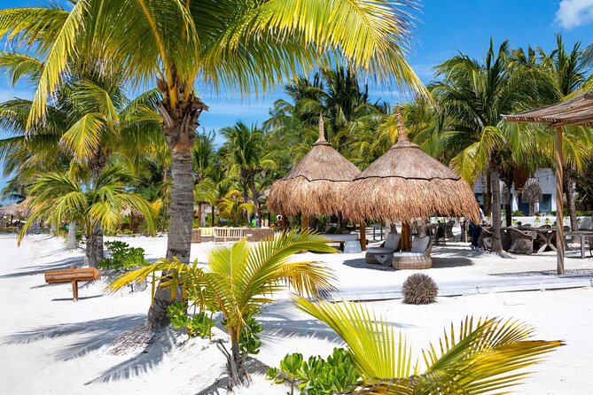 Full-Day Holbox Island Boat and Buggy Tour with Lunch - Lunch at an Eco-Resort and Beachside Free Time