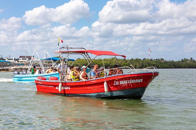 Full-Day Holbox Island Boat and Buggy Tour with Lunch - Realistic Expectations Based on Reviews