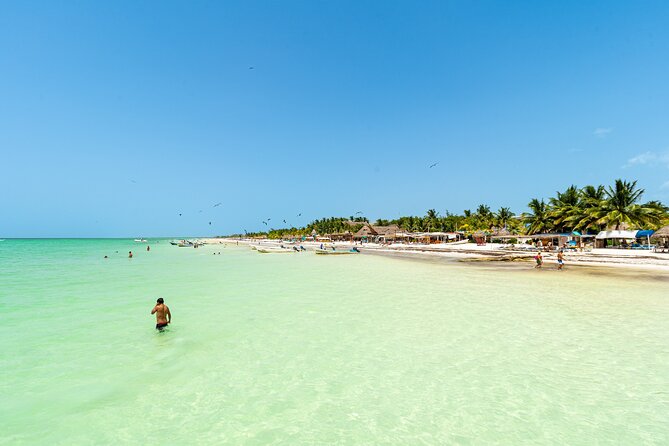 Full Day Holbox Island Tour from Cancun with Lunch - Key Points