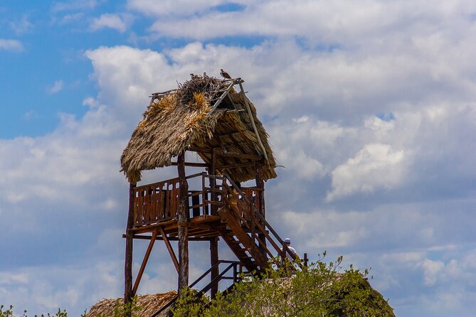 Full Day Holbox Island Tour from Cancun with Lunch - Comparing Similar Holbox Tours