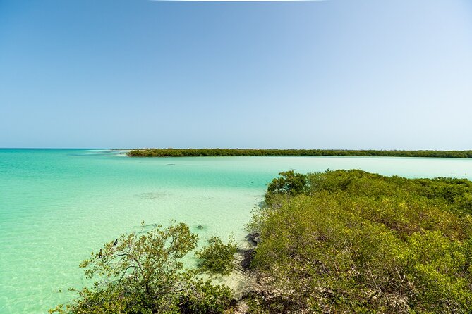 Full Day Holbox Island Tour from Playa del Carmen with Lunch - Authentic Local Cuisine and Refreshments Included