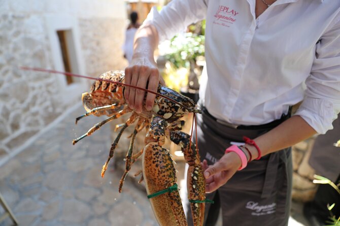 Full-Day Hvar & Pakleni Islands Speedboat Private Tour from Split - Discovering the Pakleni Islands’ Hidden Beaches