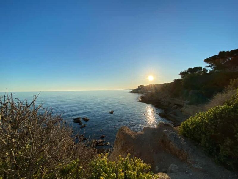 Full Day in Côte Bleue: Scenic Nature Walk and Boat Tour - The Scenic Coastal Train Ride from Marseille to Carry-Le-Rouet