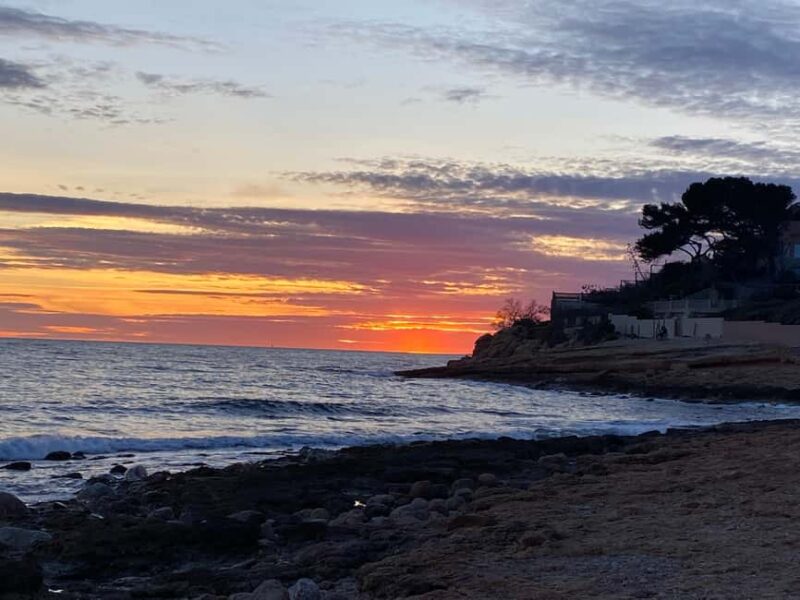 Full Day in Côte Bleue: Scenic Nature Walk and Boat Tour - Returning to Marseille and Final Group Moments