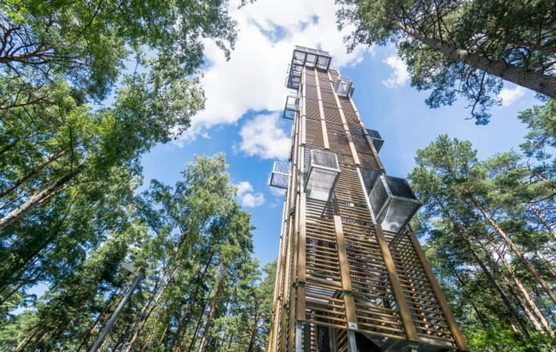 Full Day in Jurmala and Kemeri National Park - Strolling Down Jomas Street and Enjoying Local Atmosphere