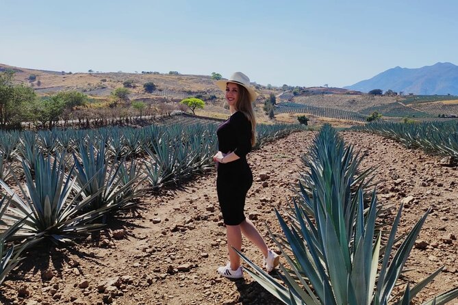 Full Day in Tequila with Tasting and party in Cantaritos - The Scenic Tequila Swing with Stunning Views