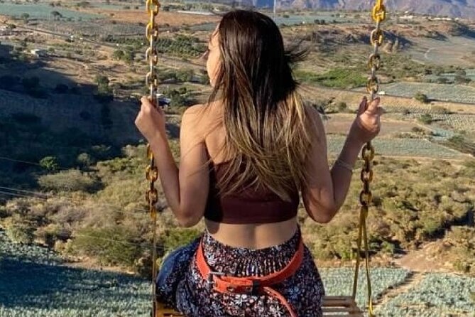 Full Day in Tequila with Tasting and party in Cantaritos - Inclusions and Practical Details