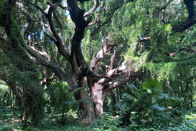 Full Day Island of Maui Private Tour - Relaxing in Kihei’s Sun-Drenched South Shore