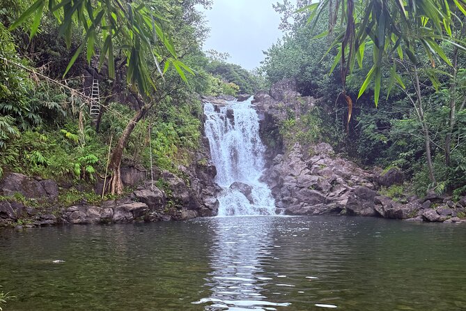 Full Day Island of Maui Private Tour - The Road to Hana: Wild Coastline and Waterfalls