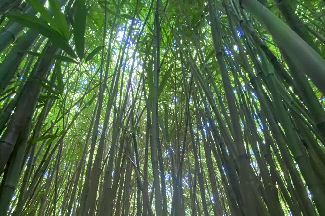 Full Day Island of Maui Private Tour - Comfort and Convenience in Premium Vehicles