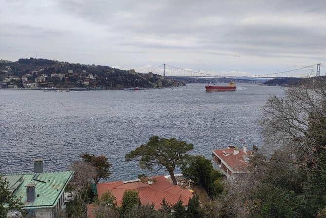 Full Day Istanbul Bosphorus Cruise and Dolmabahce Palace Tour with Private Guide - The Expertise and Personal Touch of the Guide