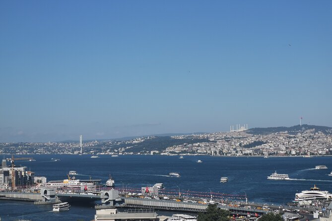 Full Day Istanbul Bosphorus Cruise and Dolmabahce Palace Tour with Private Guide - Who Should Book This Tour?