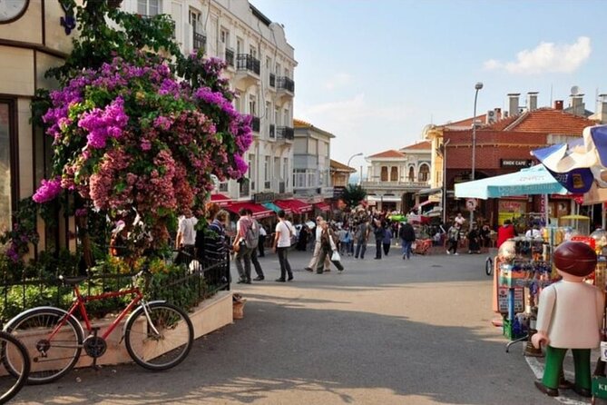 Full Day Istanbul Princes Islands Tour with Lunch - Considerations Based on Reviews