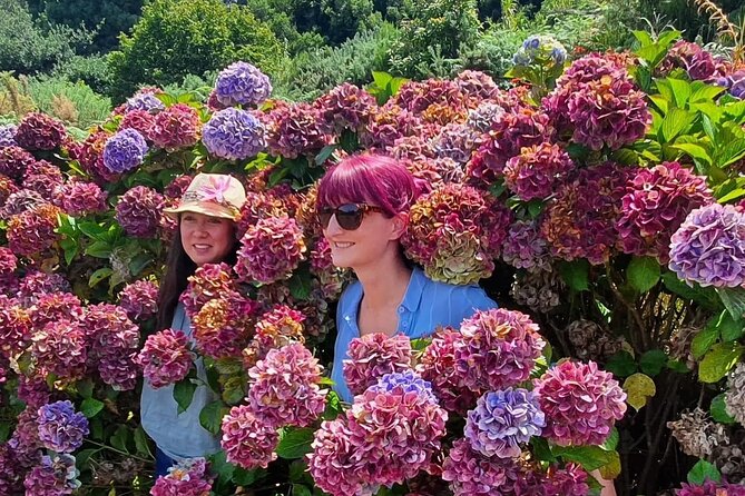 Full-Day Jeep 4x4: Amazing West Full-Day Tour to Natural Pools - Swimming and Relaxing at Porto Moniz Natural Pools