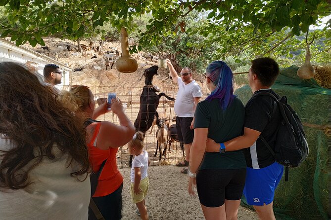 Full-Day Jeep Safari Tour with Cooking Lesson - Pottery Workshop at Psychro: Creating Your Own Ceramics