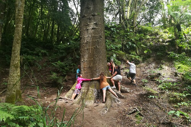 Full-Day Jeep Tour to Furnas - Discovering the Valley and Vila Franca do Campo from Castelo Branco