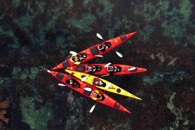 Full Day Kayak-Northern Explorer - Discover the Full Day Kayak-Northern Explorer Tour in Lofoten