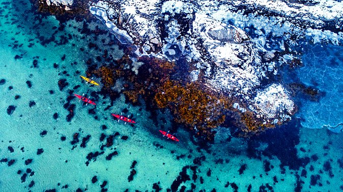 Full Day Kayak-Northern Explorer - Physical Requirements and Practical Tips