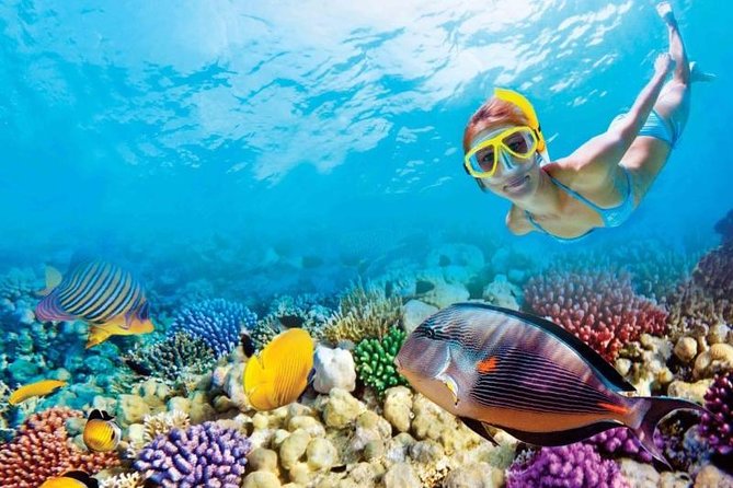 Full-Day Key West Tour and Coral Reef Snorkeling with Open Bar - Departure and Meeting Arrangements in Miami