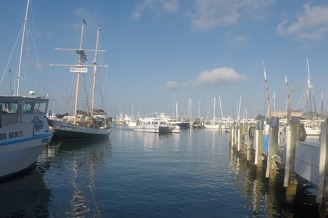 Full-Day Key West Tour and Coral Reef Snorkeling with Open Bar - Snorkeling on the Catamaran at the Coral Reef