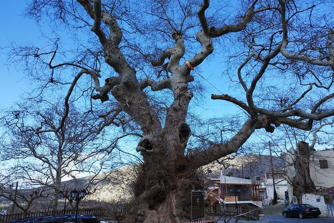 Full Day Knossos Palace Zeus Cave Lassithi Plateau from Elounda - Exploring Greek Mythology at the Thematic Park