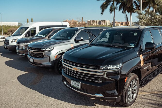 Full-Day La Paz Private Tour from Los Cabos - Experience the Best of Baja with a Full-Day Private Tour to La Paz from Los Cabos