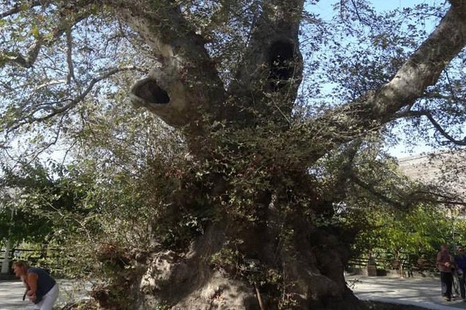 Full-Day Land Rover Safari from Heraklion with Lunch - The Shepherds and Cheesemaking Demonstration