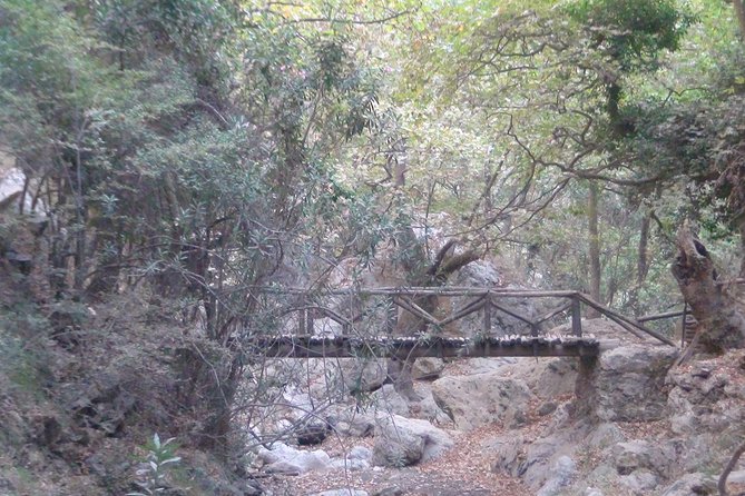 Full-Day Land Rover Safari from Rethymno with Lunch Swimming - Swimming and Relaxation at Preveli Beach