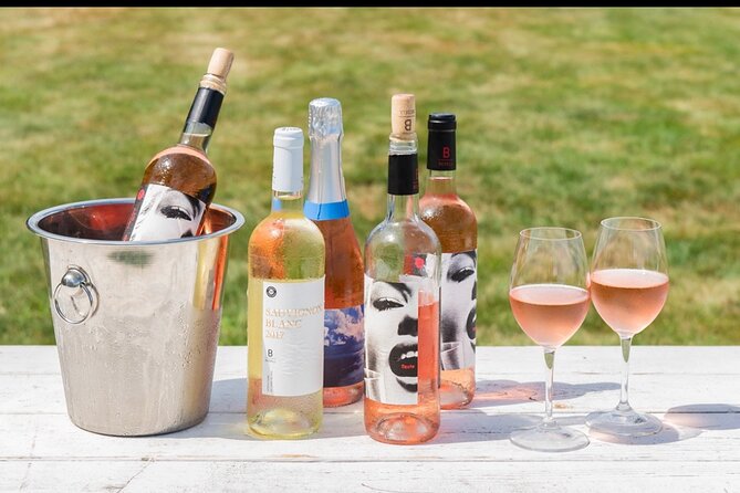 Full-Day Luxury Long Island Private Winery Tour - Select Your Long Island Experience: North Fork or The Hamptons