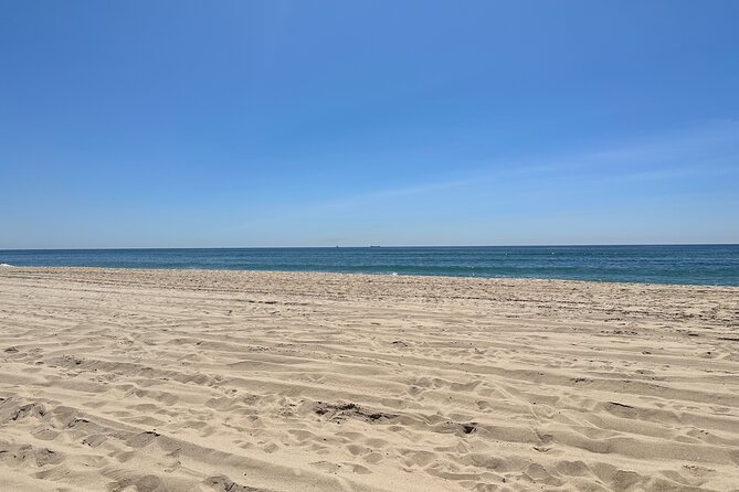 Full-Day Luxury Long Island Private Winery Tour - Review Highlights and Customer Satisfaction