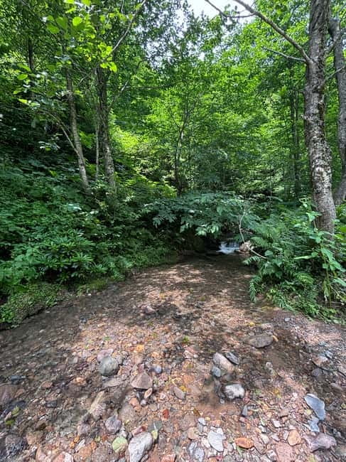 Full Day Mountine Tours from Batumi - Why This Mountain Tour Stands Out