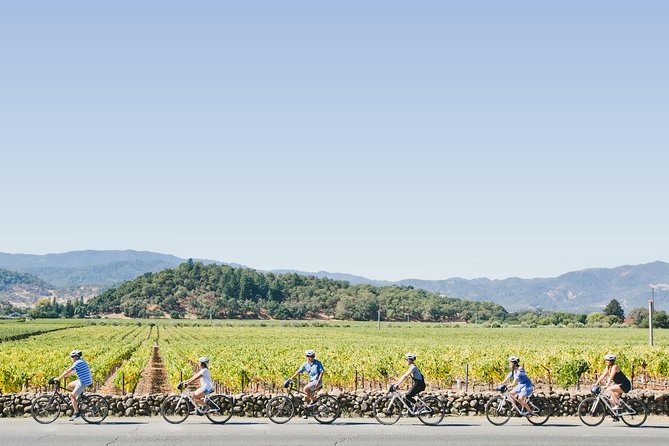 Full-Day Napa Valley E-Bike Tour with Picnic Lunch - Key Points
