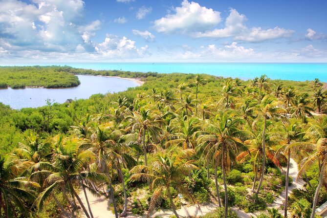 Full Day Nature Expedition to Contoy Island and Isla Mujeres - Contoy Island: A Protected Marine Sanctuary