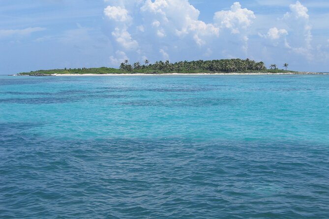 Full Day Nature Expedition to Contoy Island and Isla Mujeres - Limited Time and Pacing Considerations