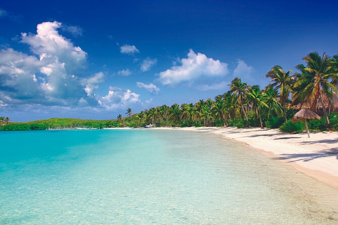 Full Day Nature Expedition to Contoy Island and Isla Mujeres - Pricing and Additional Costs