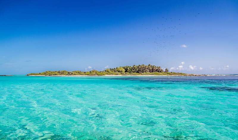 Full Day Nature Expedition to Contoy Island and Isla Mujeres - Snorkeling in the Caribbeans Clear Waters