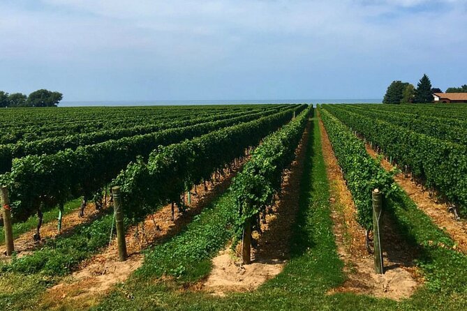 Full-Day Niagara-On-The-Lake Guided Wine and Charcuterie Tour - Specifics of the Wine and Charcuterie Pairing