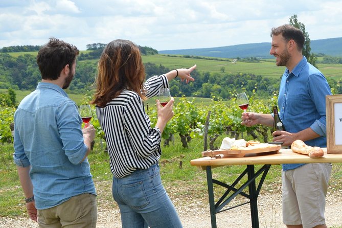 Full-Day North Burgundy and Chablis Wine Tasting Tour from Paris - Visiting Historic Villages with Deep Wine Roots