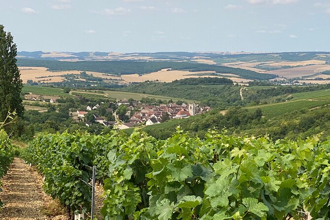 Full-Day North Burgundy and Chablis Wine Tasting Tour from Paris - Who Will Enjoy This Tour Most