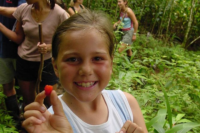 Full Day Oahu Bike, Hike, Sail and Snorkel Combo - Sailing Along Diamond Head’s Coastline with Dolphin and Turtle Sightings