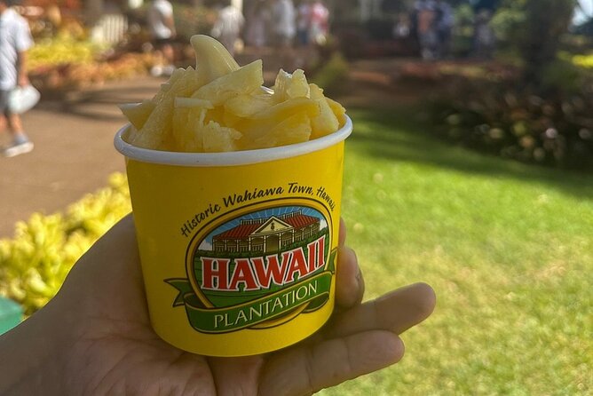 Full day Oahu´s North Shore Circle Island & Snorkeling w/ Turtles - Visiting Haleiwa Town and the Pineapple Plantation