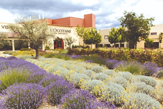 Full Day Ocean of Lavender in Valensole from Avignon - The Return Journey and Tour Logistics