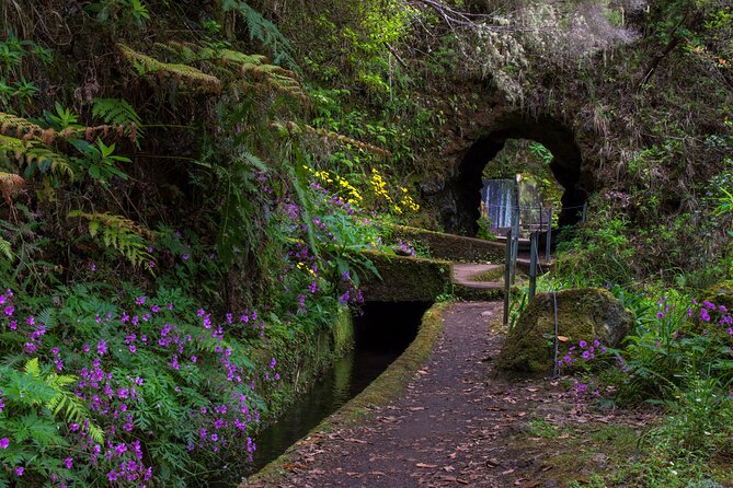 Full Day of Wonders: Madeira 4x4 Private Tour - Practical Inclusions and Additional Costs