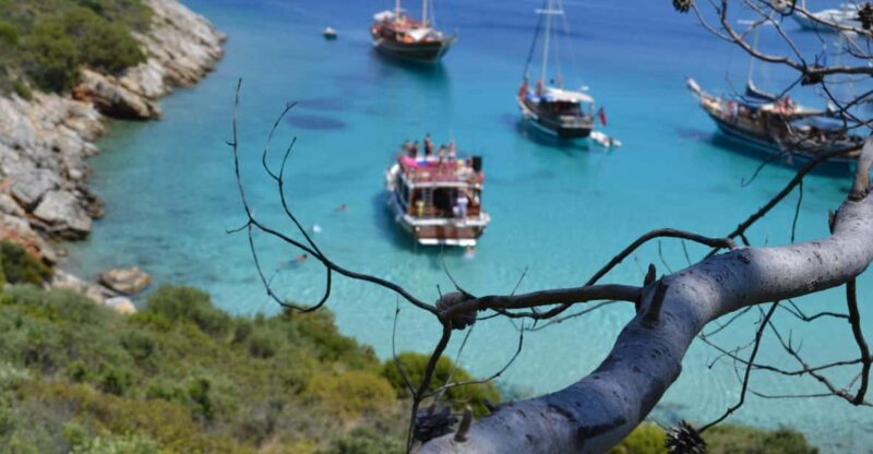 Full-Day Orak Island Boat Trip from Bodrum - Cruising Across Bodrum’s Coastal Waters