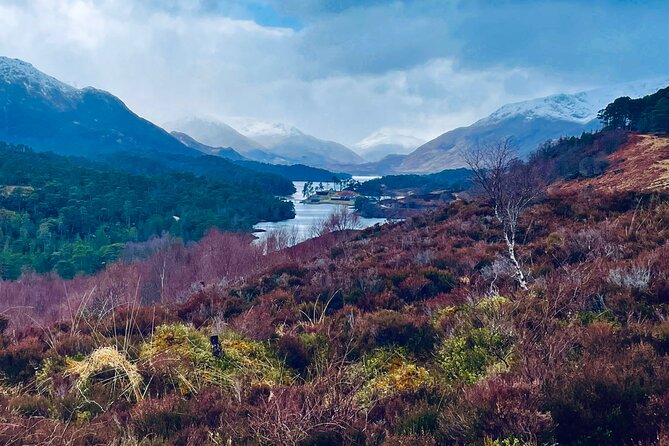 Full-Day Outlander Experience (inc Invergordon Cruise Port) - Loch Ness and Highland Cows: Relaxed Afternoon Pause