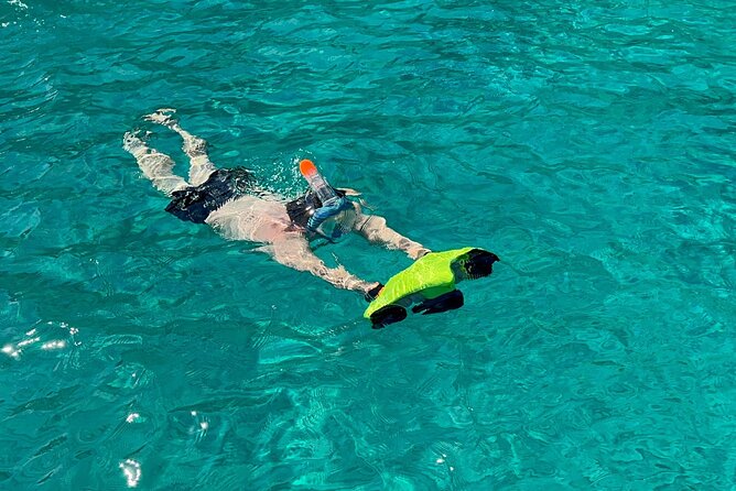 Full Day Palermo Boat Tour with Palermo Experiences - The Experience Led by Knowledgeable Guides