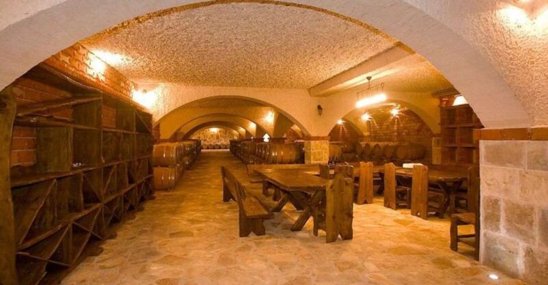 Full-Day Peljesac Wine Tour - Scenic Walk Through Dingac Vineyards